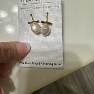 18k Gold Plated Freshwater Pearl Earrings